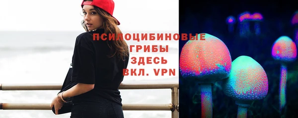 бошки Аша